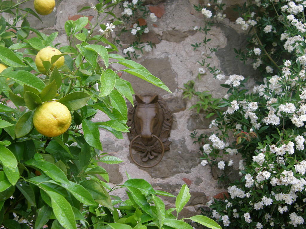 Centro Ippico Della Berardenga Villa Castelnuovo Berardenga Luaran gambar