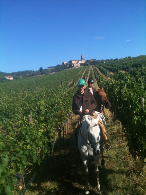 Centro Ippico Della Berardenga Villa Castelnuovo Berardenga Luaran gambar